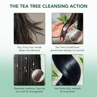 Thumbnail for Image 4 of Botanic Hearth Tea Tree Conditioner with Sulphate & Paraben Free - 16 Fl oz