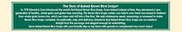 Thumbnail for Image 11 of Edward & Sons Brown Rice Snaps
