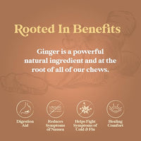 Thumbnail for Image 3 of Chimes Ginger Chews Original 5 oz - 2 pc