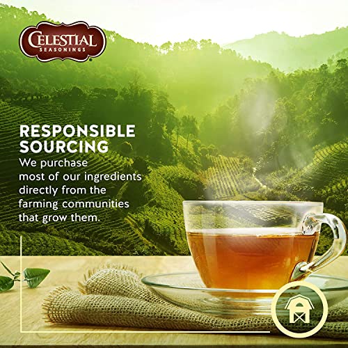 Image 5 of Celestial Seasonings Sleepytime Herbal Tea, 20 Count (Pack of 2)